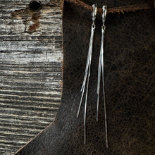 Load image into Gallery viewer, Done &amp; Dusted Earrings
